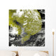 Mekong Delta and Tonle Wall Decal