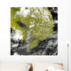 Mekong Delta and Tonle Wall Decal