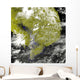 Mekong Delta and Tonle Wall Decal