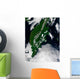Russia S Kamchatka Peninsula Wall Decal