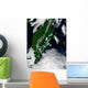 Russia S Kamchatka Peninsula Wall Decal