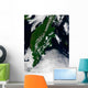 Russia S Kamchatka Peninsula Wall Decal