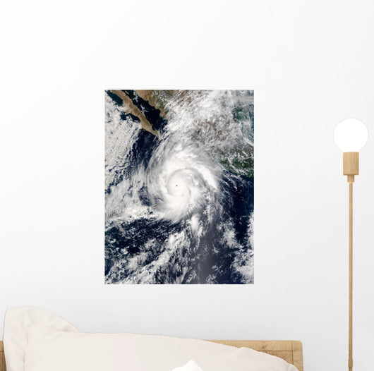 Hurricane Kenna Wall Decal Design 1
