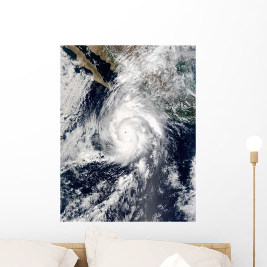 Hurricane Kenna Wall Decal Design 1