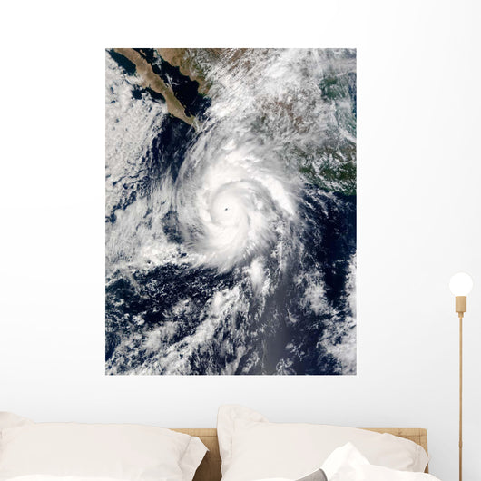 Hurricane Kenna Wall Decal Design 1