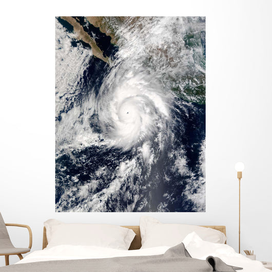 Hurricane Kenna Wall Decal Design 1