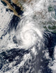 Hurricane Kenna Wall Decal Design 1