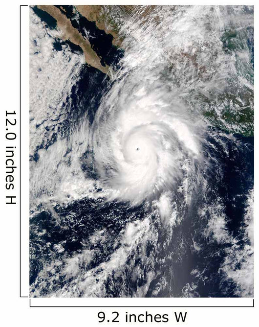 Hurricane Kenna Wall Decal Design 1
