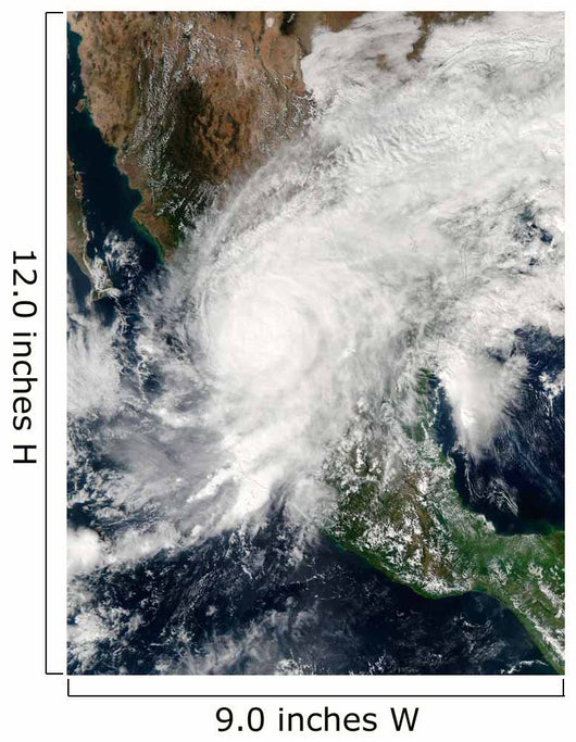 Hurricane Kenna Wall Decal Design 2