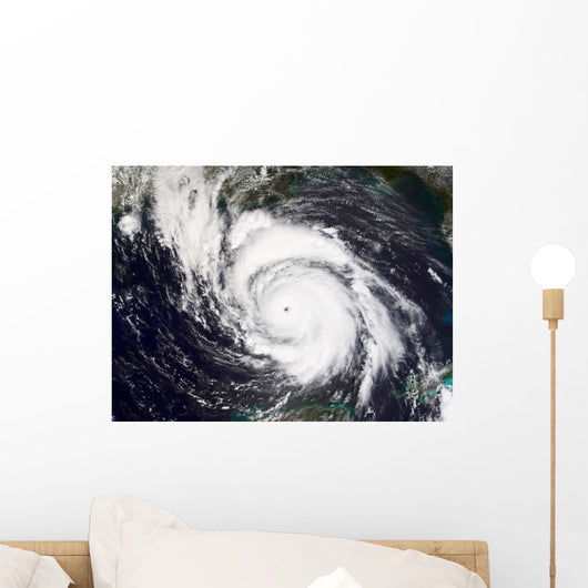 Hurricane Lili Wall Decal Design 1