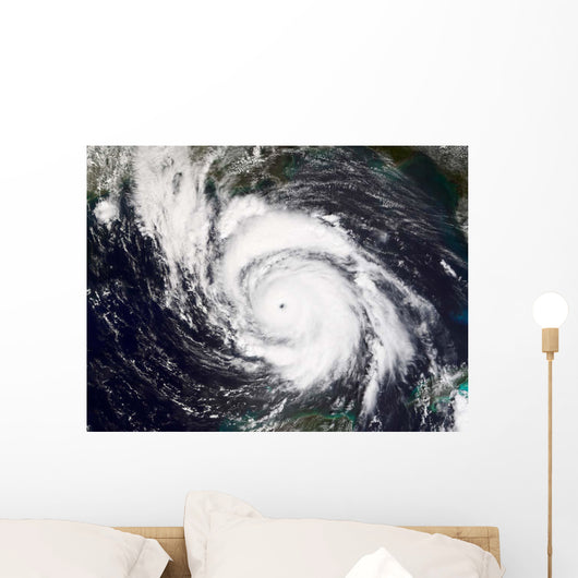 Hurricane Lili Wall Decal Design 1
