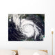Hurricane Lili Wall Decal Design 1