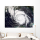 Hurricane Lili Wall Decal Design 1