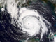 Hurricane Lili Wall Decal Design 1