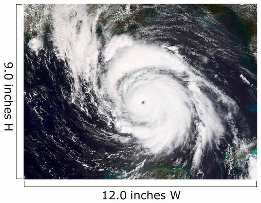 Hurricane Lili Wall Decal Design 1