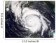 Hurricane Lili Wall Decal Design 1