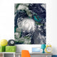 Hurricane Lili Wall Decal Design 2
