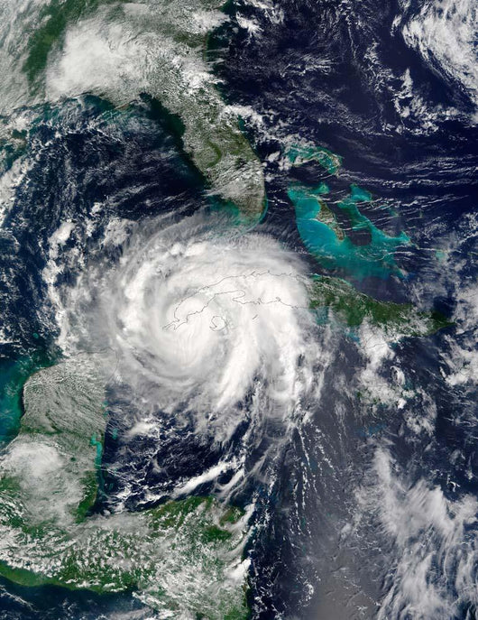 Hurricane Lili Wall Decal Design 2