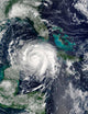 Hurricane Lili Wall Decal Design 2