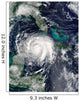 Hurricane Lili Wall Decal Design 2