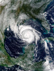 Hurricane Lili Wall Decal Design 3