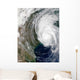 Hurricane Lili Wall Decal Design 4