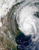 Hurricane Lili Wall Decal Design 4