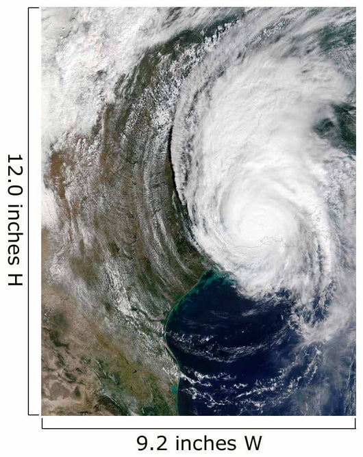 Hurricane Lili Wall Decal Design 4