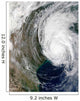 Hurricane Lili Wall Decal Design 4