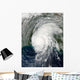 Hurricane Lili Wall Decal Design 5