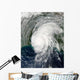 Hurricane Lili Wall Decal Design 5