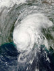 Hurricane Lili Wall Decal Design 5