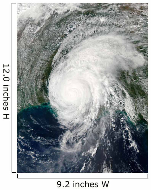 Hurricane Lili Wall Decal Design 5