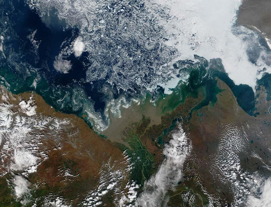 Mackenzie River Empties into Wall Decal