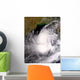 Tropical Cyclone Nargis Wall Decal