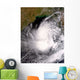 Tropical Cyclone Nargis Wall Decal