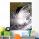 Tropical Cyclone Nargis Wall Decal