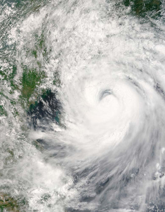 Typhoon Prapiroon Wall Decal