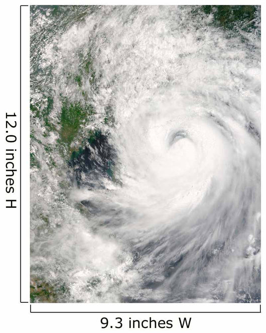 Typhoon Prapiroon Wall Decal