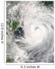 Typhoon Prapiroon Wall Decal