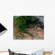 Change Vegetation between Russia Wall Decal