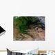 Change Vegetation between Russia Wall Decal