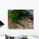 Change Vegetation between Russia Wall Decal