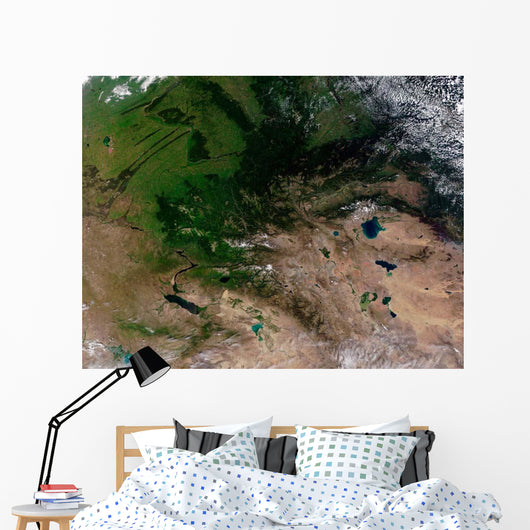 Change Vegetation between Russia Wall Decal