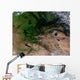 Change Vegetation between Russia Wall Decal