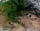 Change Vegetation between Russia Wall Decal