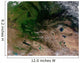 Change Vegetation between Russia Wall Decal
