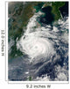 Typhoon Sinlaku Wall Decal Design 1
