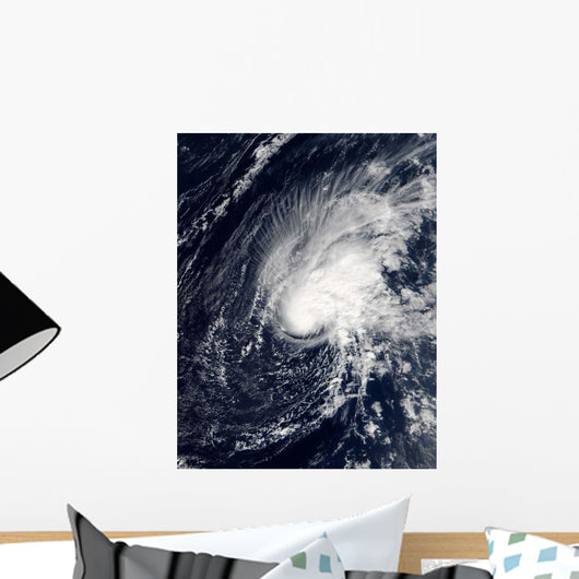 Tropical Storm Zeta Wall Decal