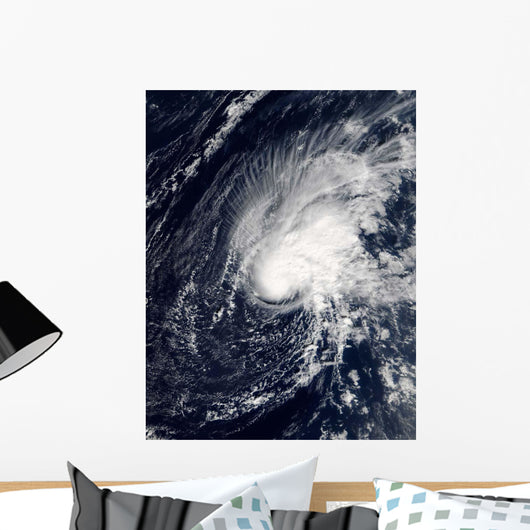 Tropical Storm Zeta Wall Decal